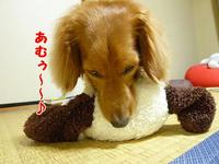 たまには動くんです。 2011/05/21 22:11:49