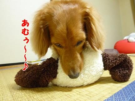 たまには動くんです。