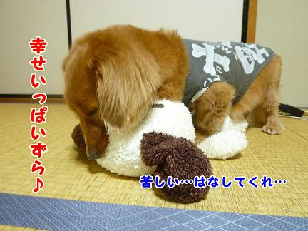 たまには動くんです。