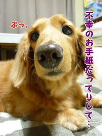 はまぞうからのお手紙。 2011/05/26 18:15:50
