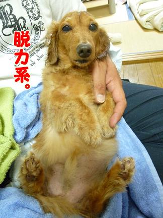 風呂あがりのおっさん。