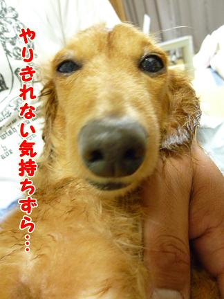 風呂あがりのおっさん。