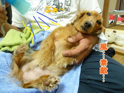 風呂あがりのおっさん。