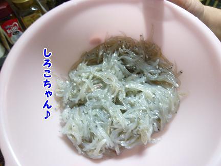 しろこ。