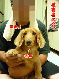 被害者の会・・・寄合。 2011/06/08 11:38:39