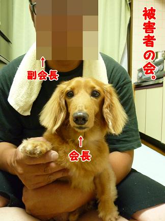 被害者の会・・・寄合。