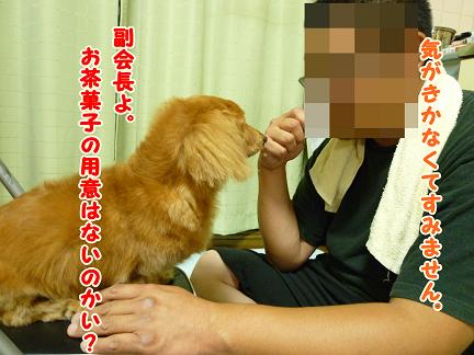 被害者の会・・・寄合。