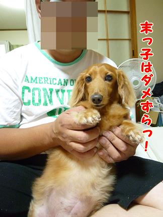 被害者の会・・・寄合。