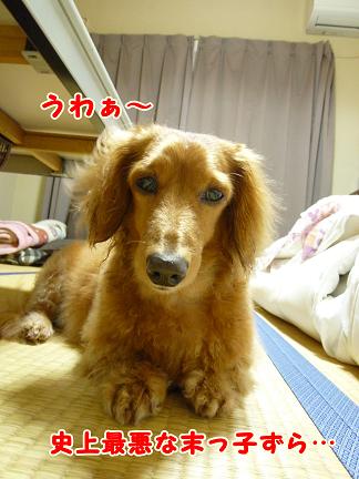 O型末っ子がいっぱい。