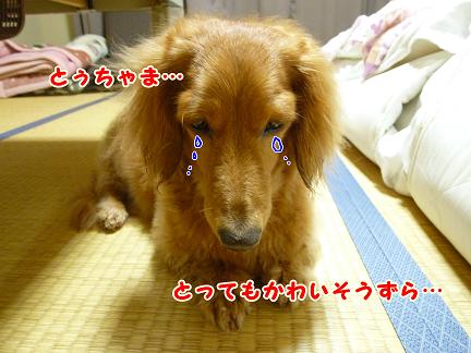 O型末っ子がいっぱい。