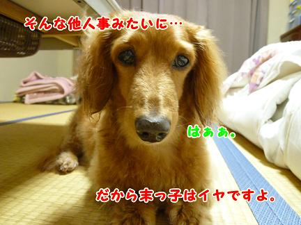 O型末っ子がいっぱい。