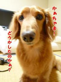 感謝☆感激☆雨☆あられ☆ 2011/06/10 11:40:52