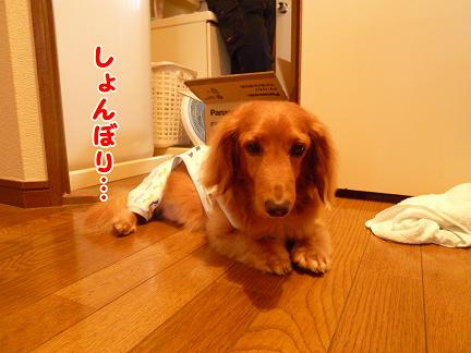 傷つきやすいの…