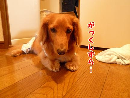 傷つきやすいの…
