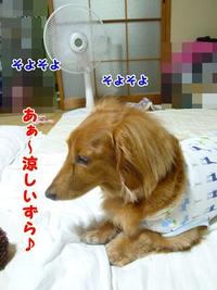 あちゃるのあんよ。 2011/06/12 20:31:41