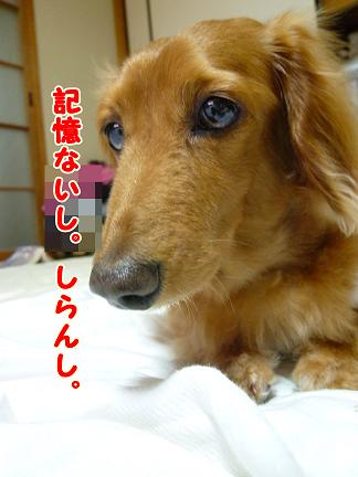 あちゃるのあんよ。