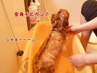 そんな顔すんなよ・・ 2011/06/13 11:42:42