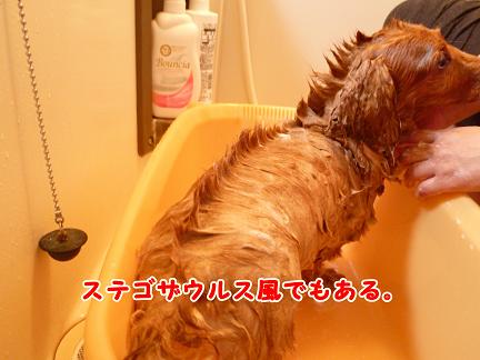そんな顔すんなよ・・