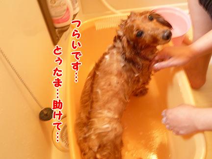 そんな顔すんなよ・・