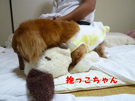 抱っこちゃんなわけ。