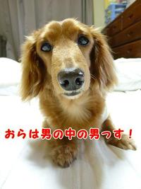にゅ～☆キャッチコピー☆ 2011/06/16 10:42:02