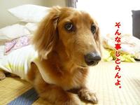 有給です。 2011/06/18 13:02:52
