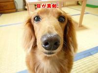 いつもの日曜日♪ 2011/06/19 20:02:31