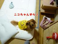 にこにこマーク 2011/06/20 11:53:01