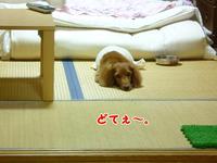 ぶうたれあちゃるさん。 2011/06/21 10:51:11