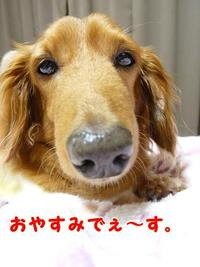 給料計算中・・・ 2011/06/22 10:50:53