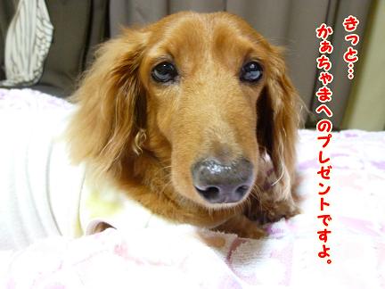 トラちゃんからの贈り物♪