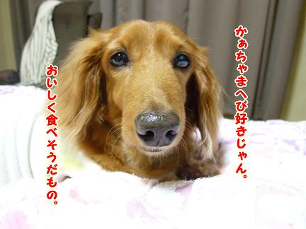 トラちゃんからの贈り物♪