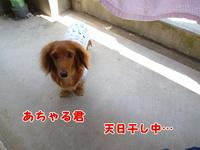 午後のひととき♪ 2011/06/25 14:57:13