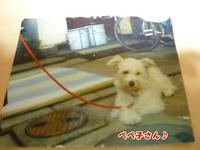 週刊実話。 2011/07/01 21:01:42