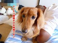 どっきり寝起き♪ 2011/07/04 20:14:41