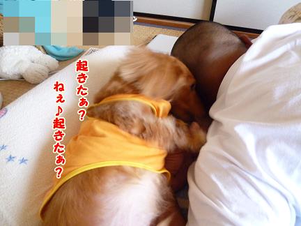 どっきり寝起き♪