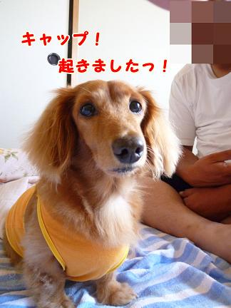 どっきり寝起き♪
