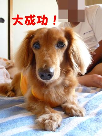どっきり寝起き♪