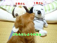 スヌピ子とカリメロとギズモ。 2011/07/12 20:32:14
