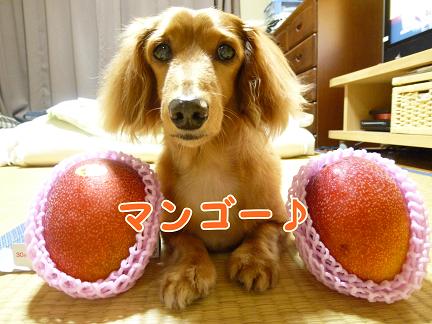 兄さま。