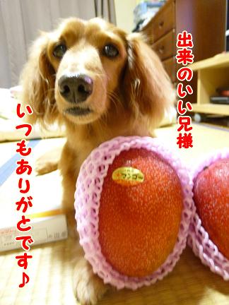 兄さま。