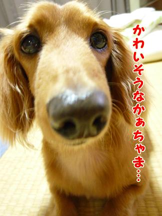兄さま。
