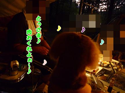 キャンプ♪