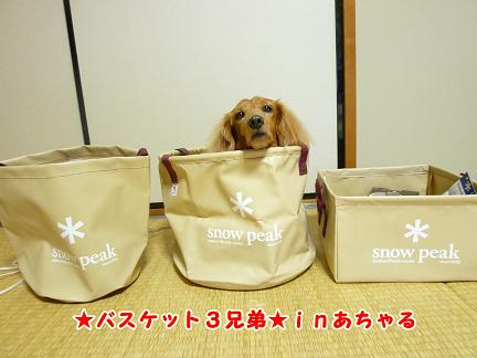 バスケット３兄弟☆