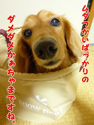 バスケット３兄弟☆
