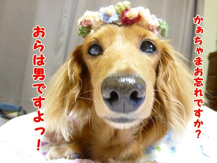女装家♪