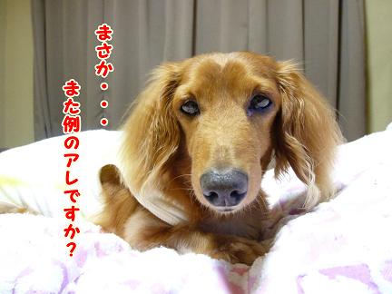 例のアレ♪