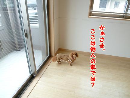 ８月の決意♪