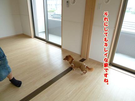 ８月の決意♪