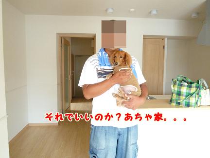 ８月の決意♪